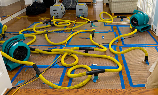 Professional Basement Flood Cleanup technician working in Niles, MI